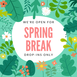 spring break hours
